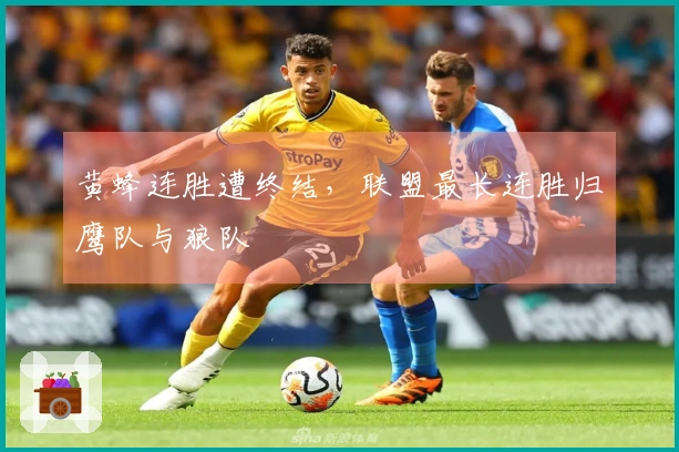 黄蜂连胜遭终结，联盟最长连胜归鹰队与狼队