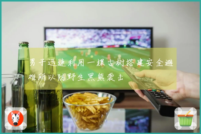男子迅速利用一棵古树搭建安全避难所以防野生黑熊袭击