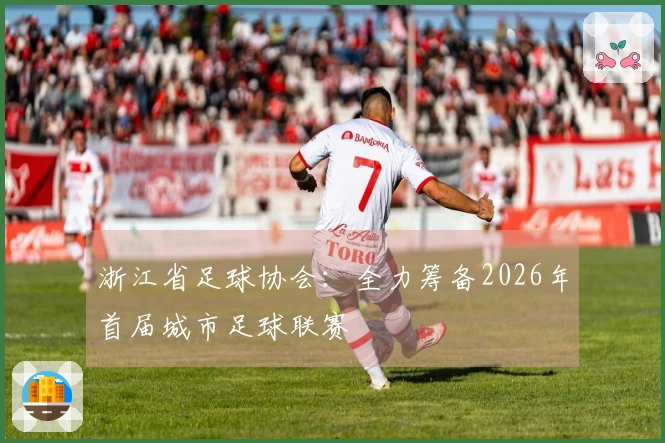 浙江省足球协会：全力筹备2026年首届城市足球联赛